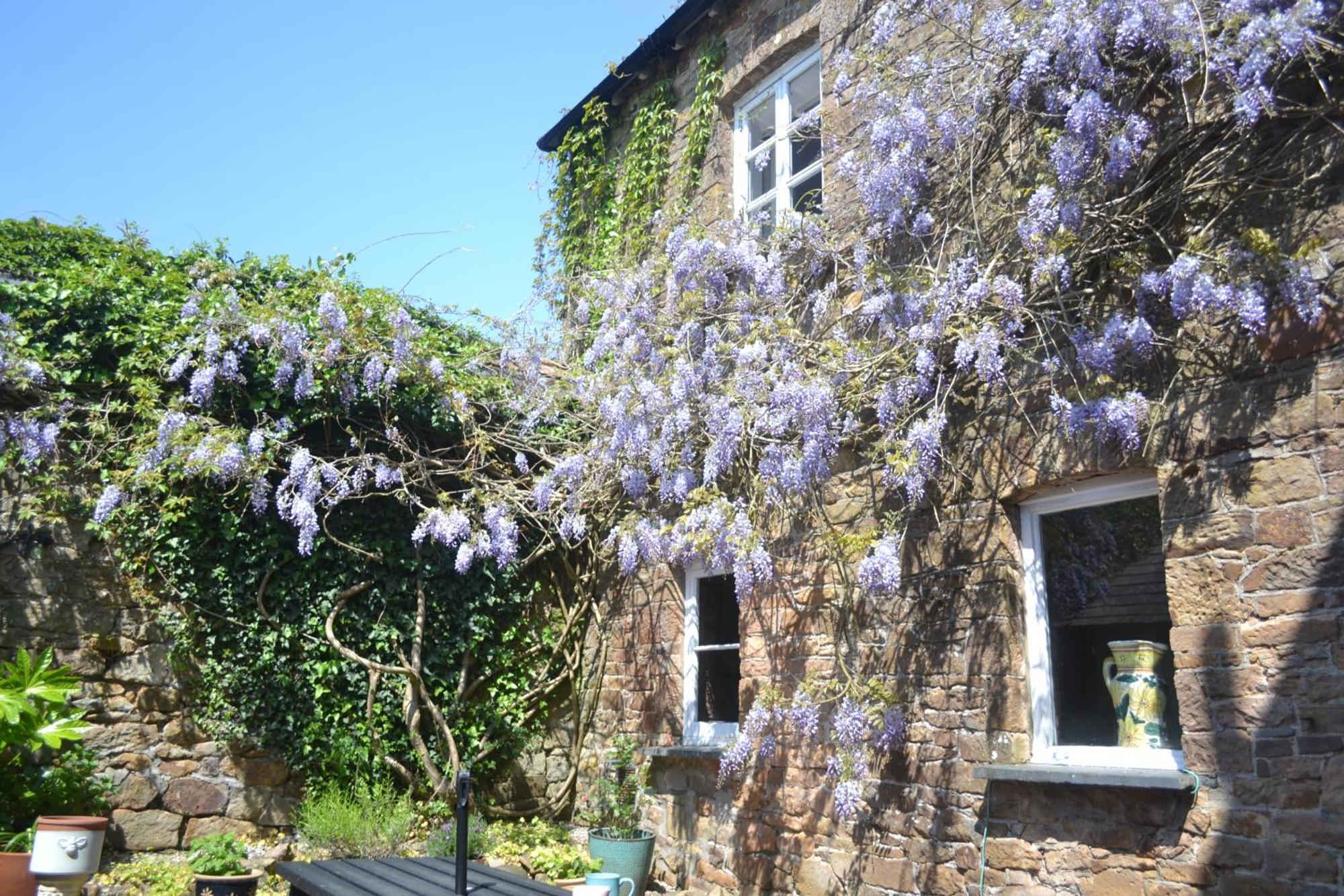 The Old Police Station Villa Hatherleigh Bagian luar foto